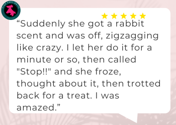 High prey drive dog owner reporting progress. Image text reads: Suddenly she got a rabbit scent and was off, zigzagging like crazy. I let her do it for a minute or so, then called Stop!! and she froze, thought about it, then trotted back for a treat. I was amazed
