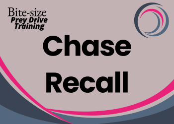 A pale grey background with darker grey and pink pattern. Text reads Bite-size prey drive training: Chase Recall