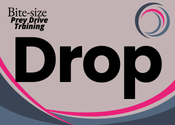 A pale grey background with darker grey and pink pattern. Text reads Bite-size prey drive training: Drop