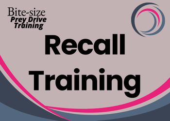 A pale grey background with darker grey and pink pattern. Text reads Bite-size prey drive training: Recall Training