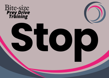 A pale grey background with darker grey and pink pattern. Text reads Bite-size prey drive training: Stop